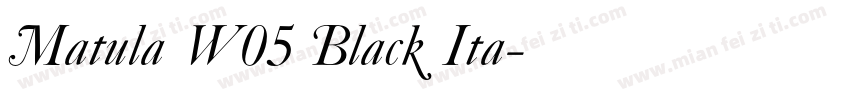 Matula W05 Black Ita字体转换